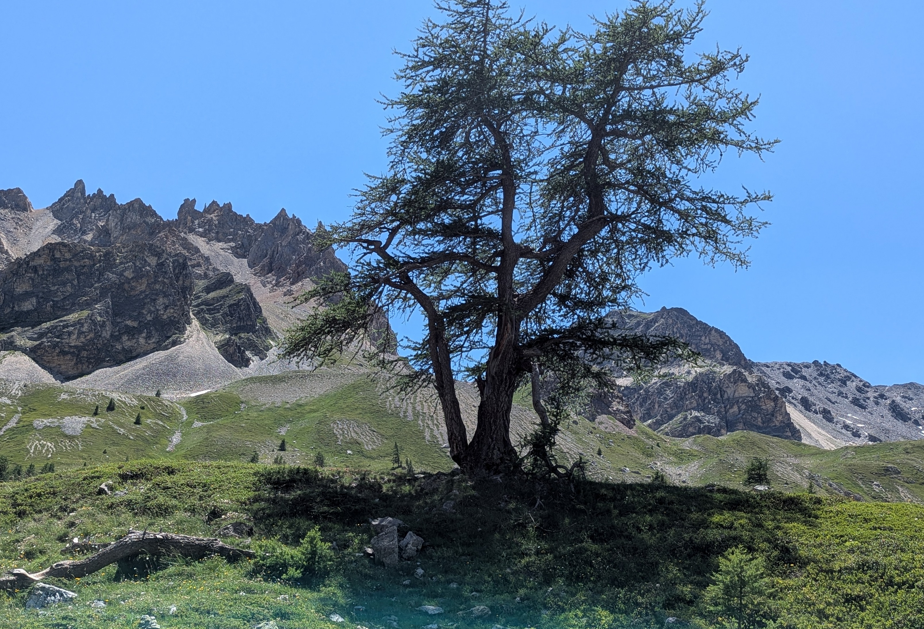 la vallée Etroite séjour la Clarée 2025