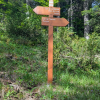 Forêt de Thorenc 15 Juin 2025