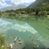 Séjour Myosotis en haute Maurienne Juillet 2025