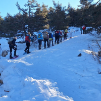 29 01 Raquettes à Gréolières 