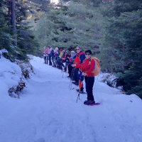 01 02 Raquettes à l'Audibergue