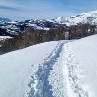 15 02 Raquettes au col de la Couillole vers la cime du Giarons