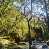 19 02 Gorges du Blavet à Bagnols en Forêt