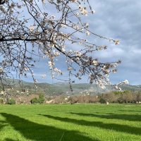 22 02 Chapelles de Fayence