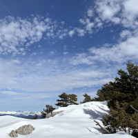 22 02 Raquettes hors sentiers battus à Gréolières les Neiges