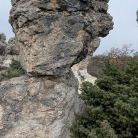 Séjour du 02 au 07 mars dans le Luberon